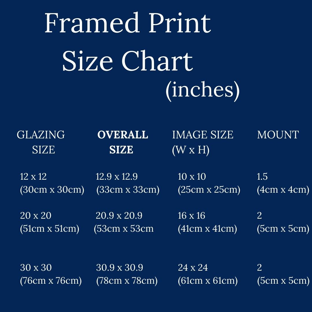 Pierre the Peacock Framed & Mounted Print