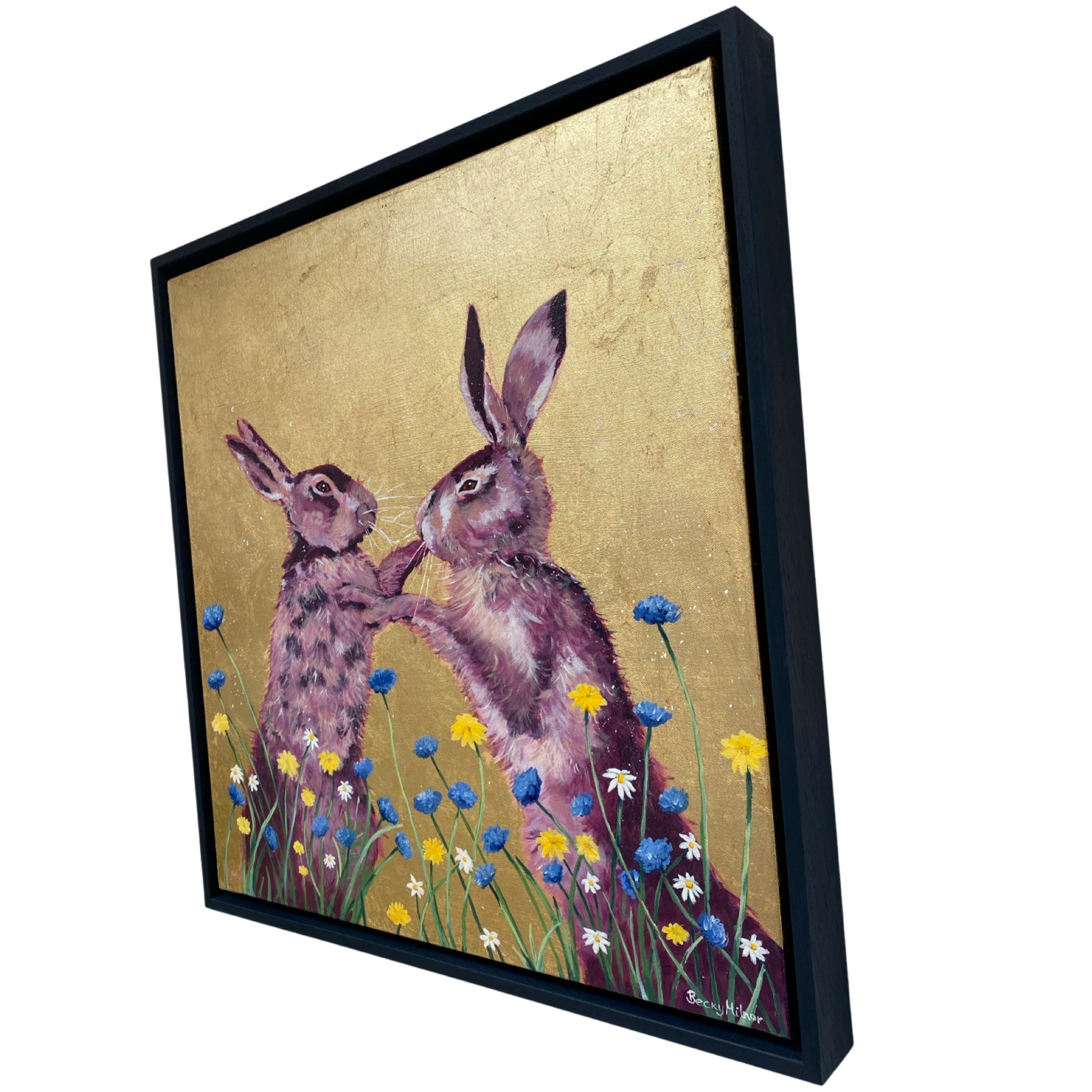 Framed Hare Pictures