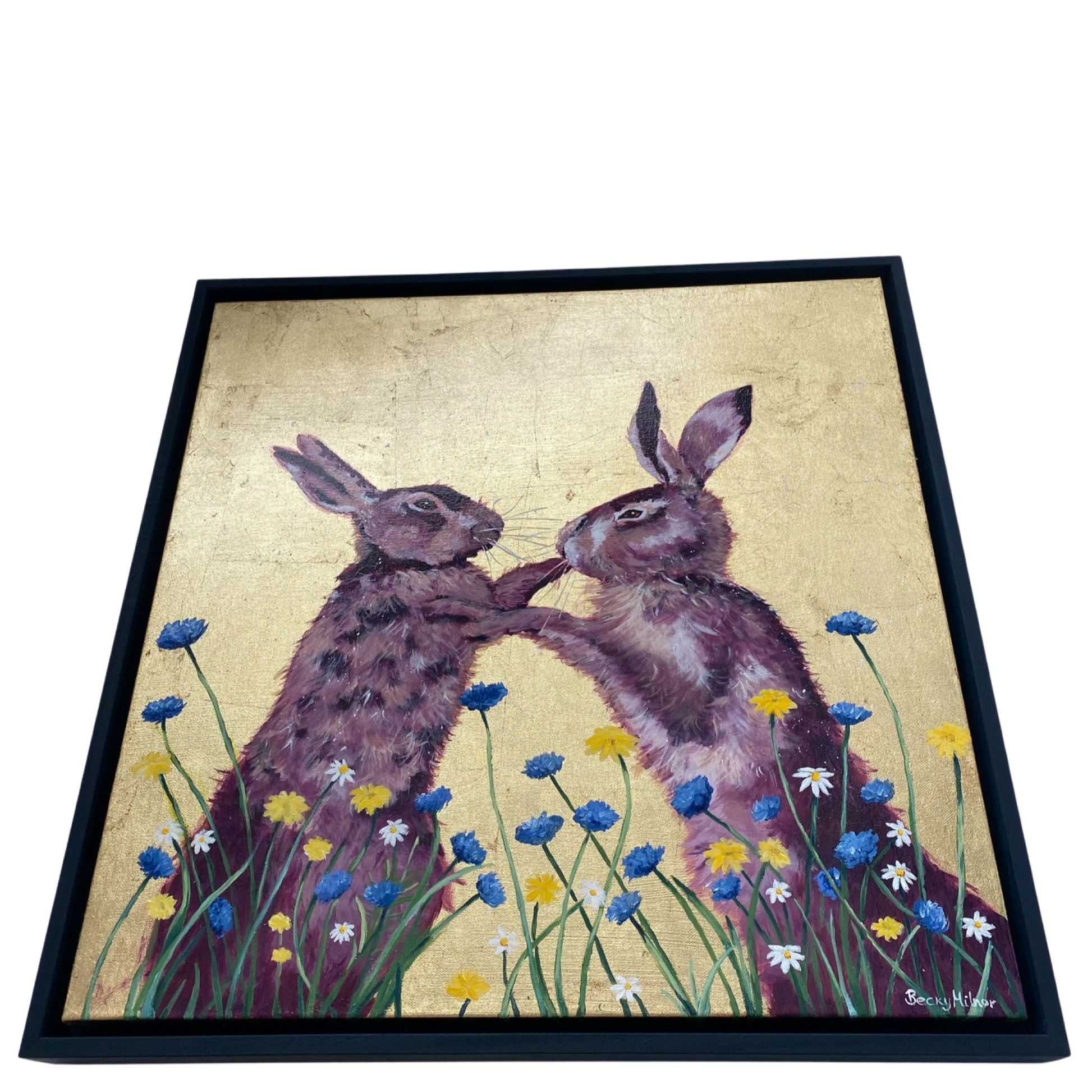 Framed Hare Pictures