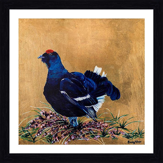 Gloria the Grouse Framed & Mounted Print