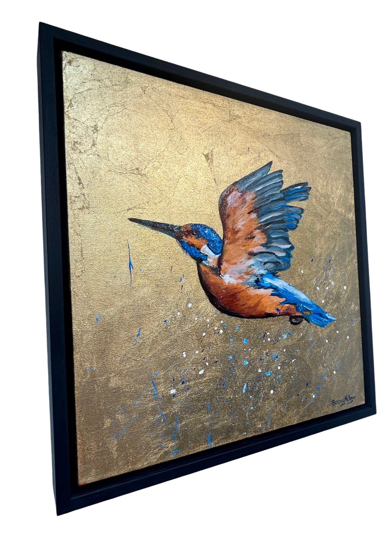 Kiki the Kingfisher
