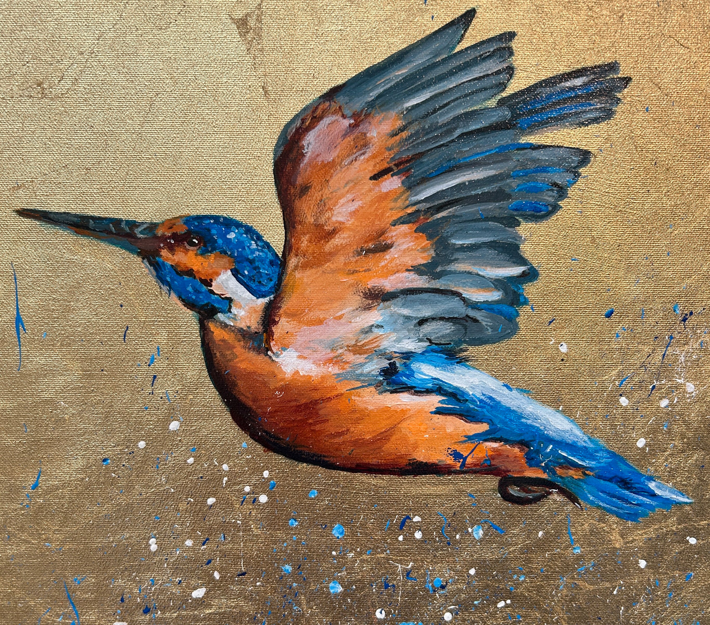 Kiki the Kingfisher