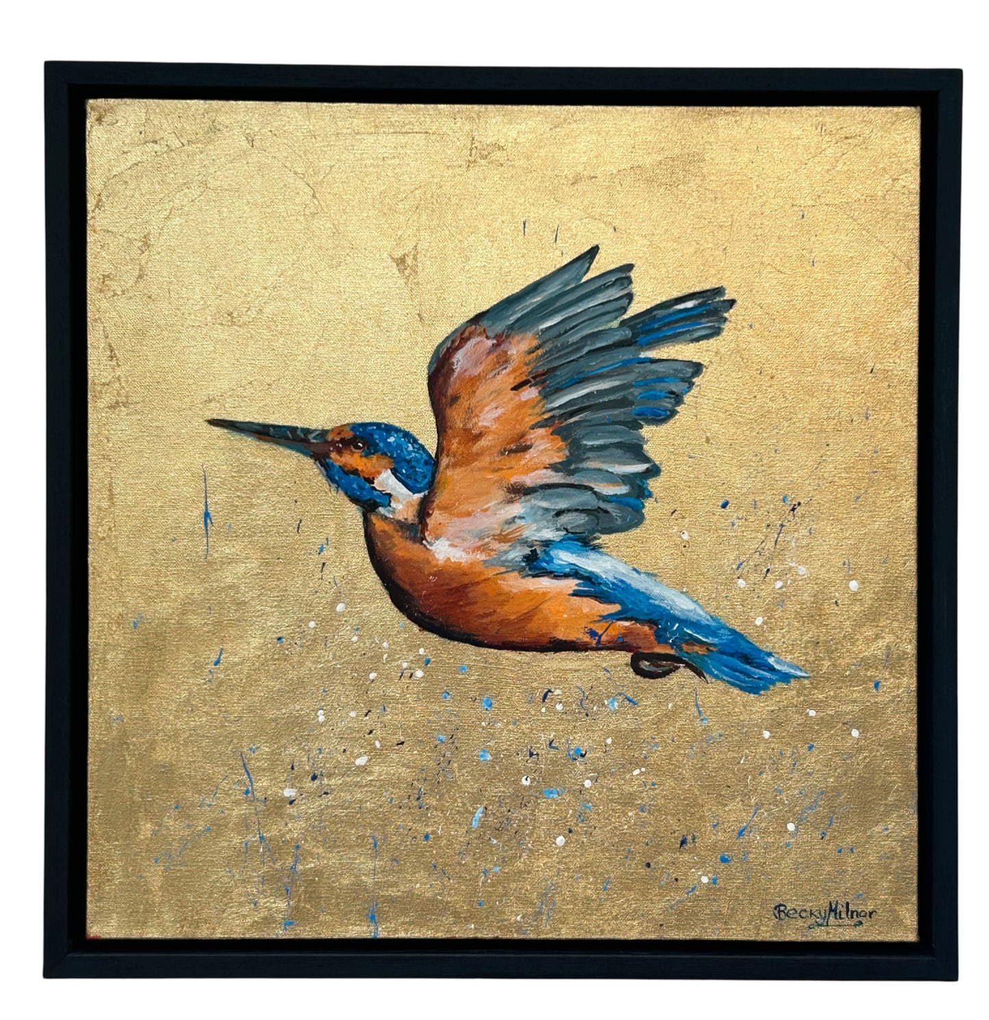Kiki the Kingfisher
