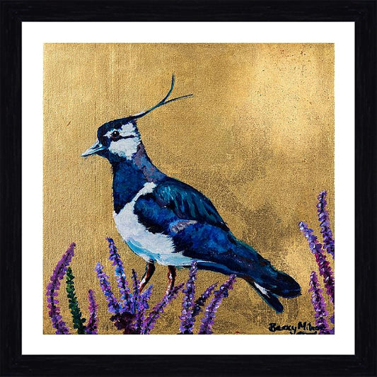 Laila the Lapwing Framed & Mounted Print
