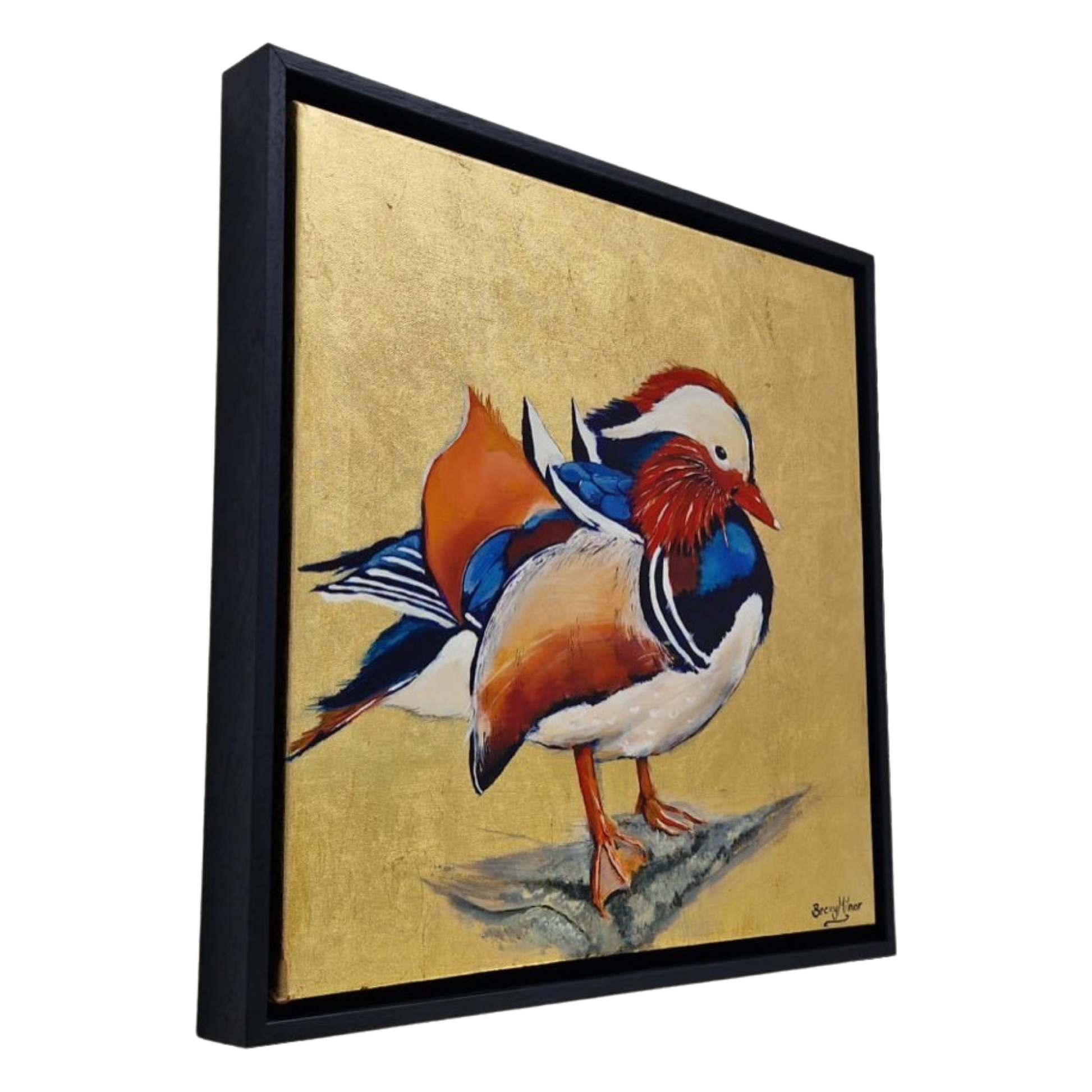 Framed Bird Prints , Modern Art Prints