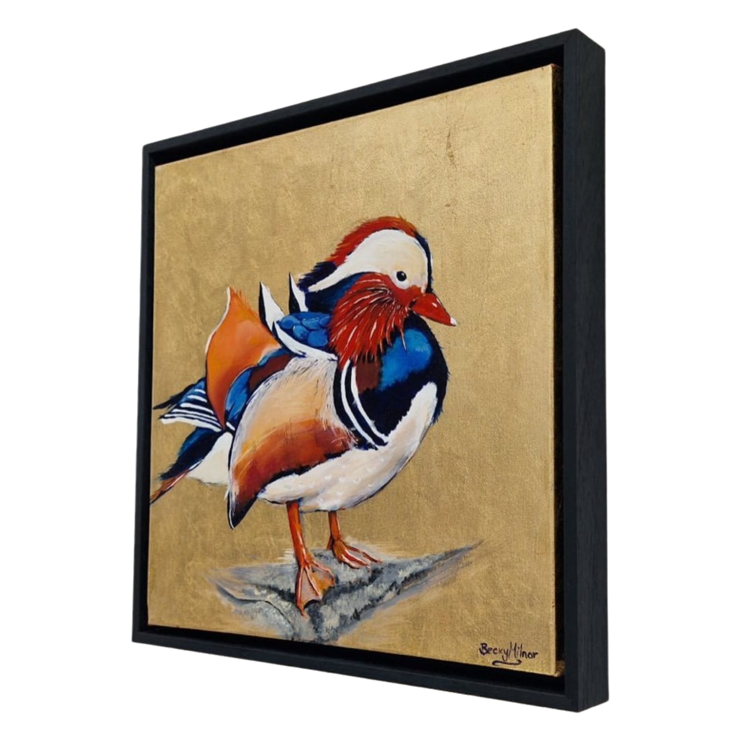 Framed Bird Prints , Modern Art Prints