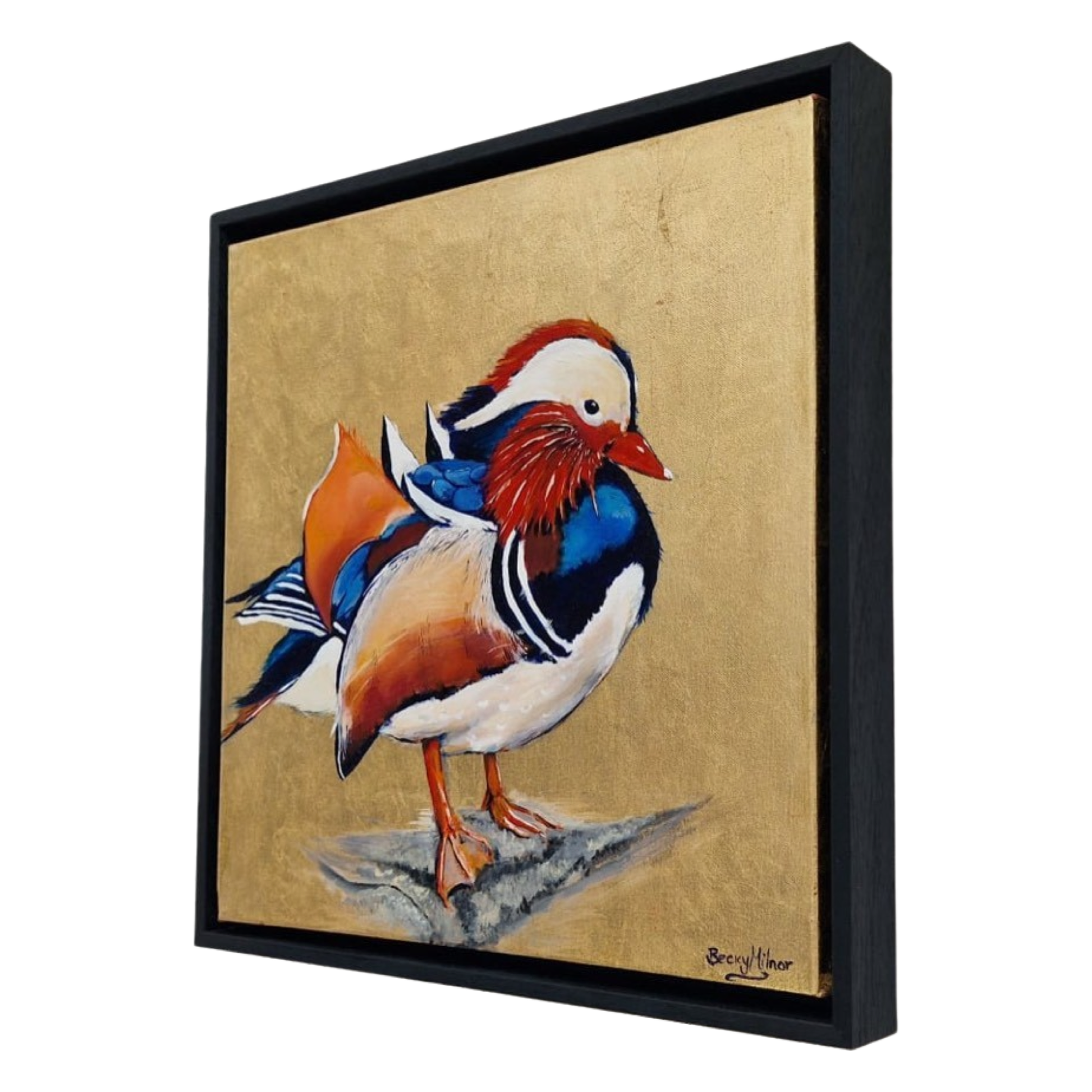 Framed Bird Prints , Modern Art Prints