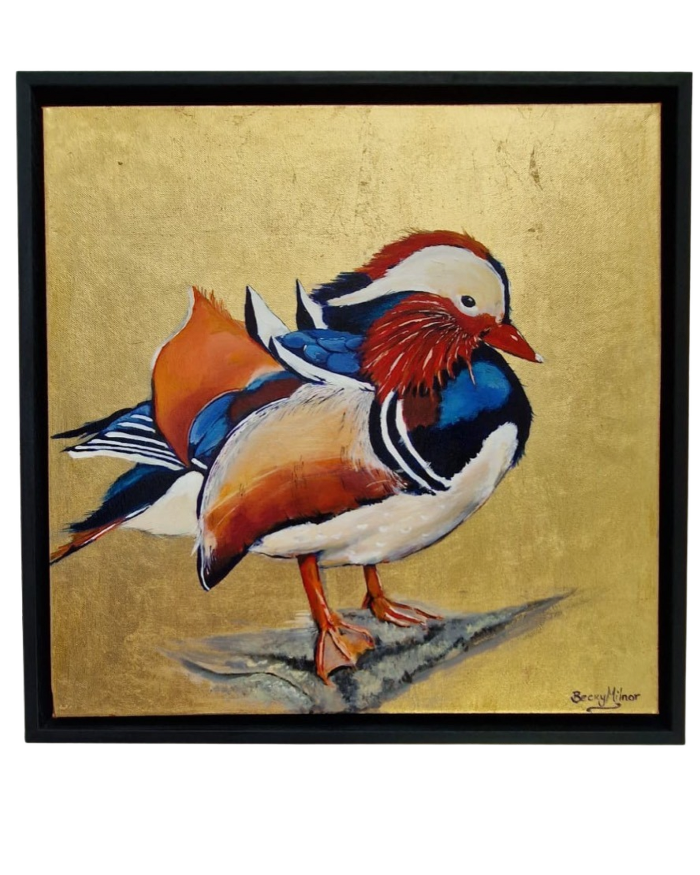 Framed Bird Prints , Modern Art Prints
