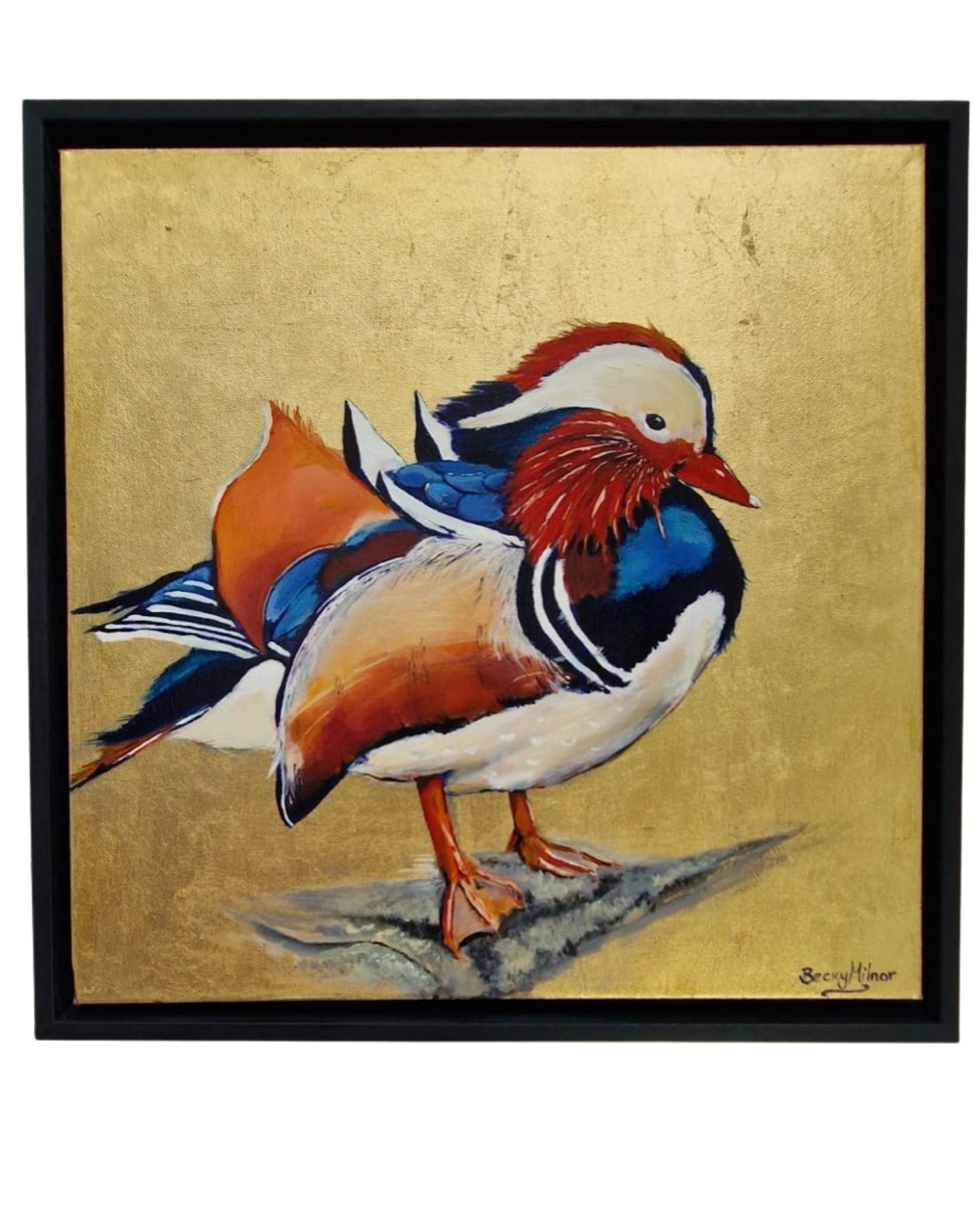 Framed Bird Prints , Modern Art Prints