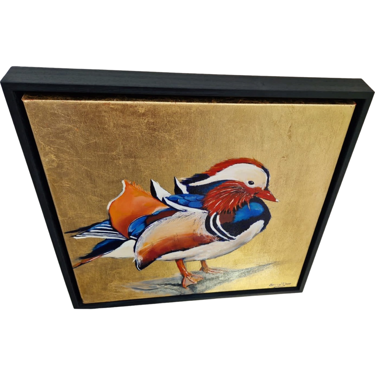Framed Bird Prints , Modern Art Prints