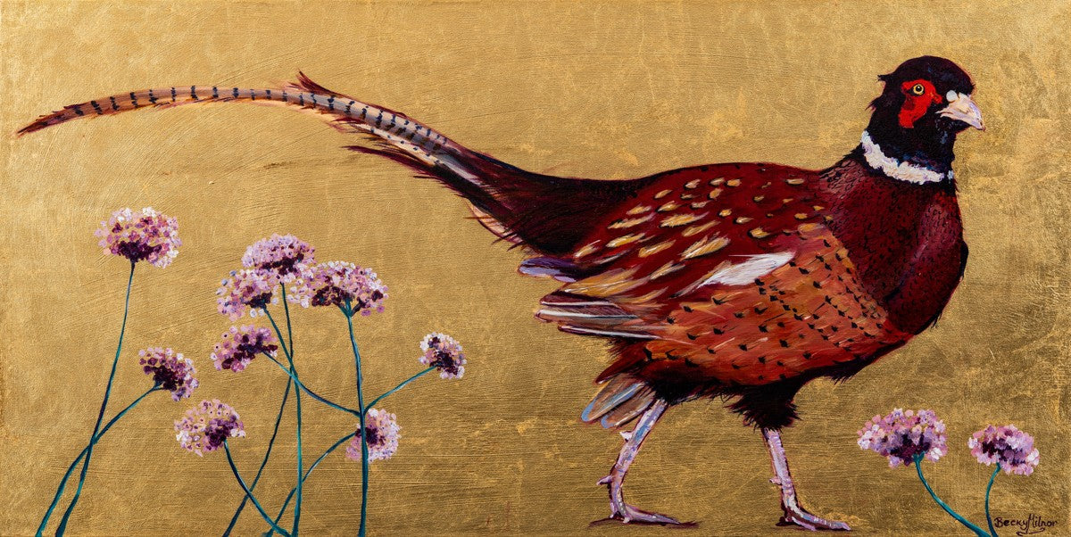 Phileas the Pheasant