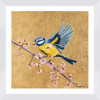 Blue Tit and Flowers Framed & Mounted Print