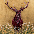 Cecil The Stag Framed & Mounted Print