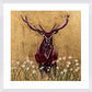 Cecil The Stag Framed & Mounted Print