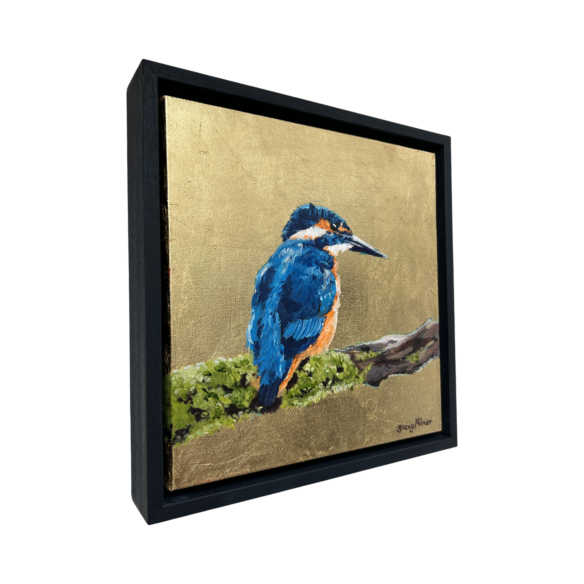 Christophe the Kingfisher