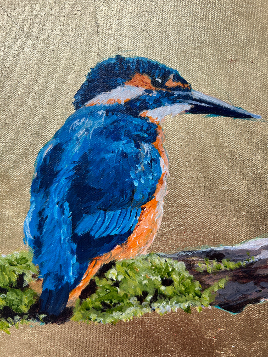 Christophe the Kingfisher