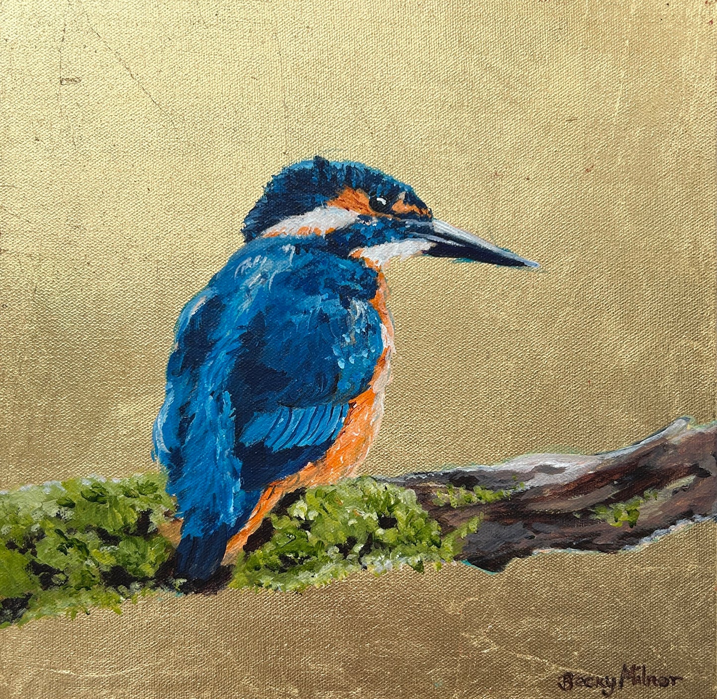 Christophe the Kingfisher