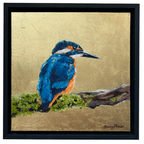 Christophe the Kingfisher