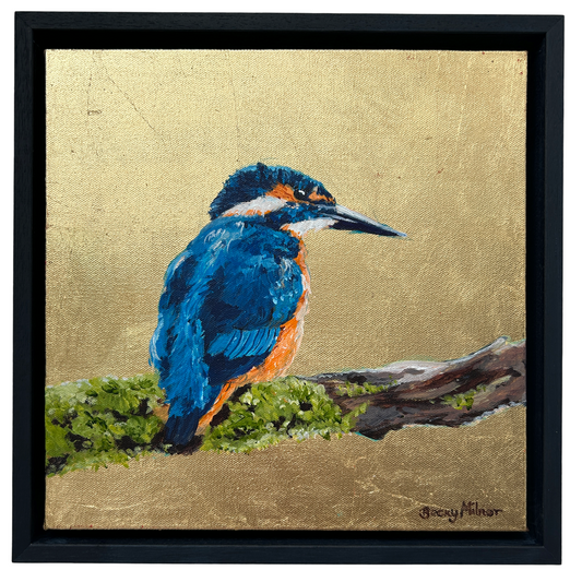 Christophe the Kingfisher
