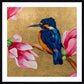 Estelle the Kingfisher Framed & Mounted Print