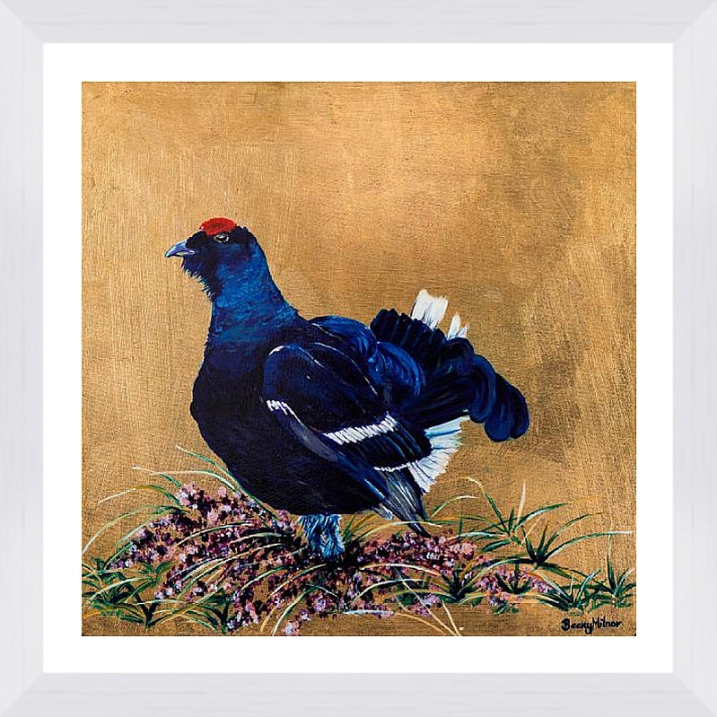 Gloria the Grouse Framed & Mounted Print