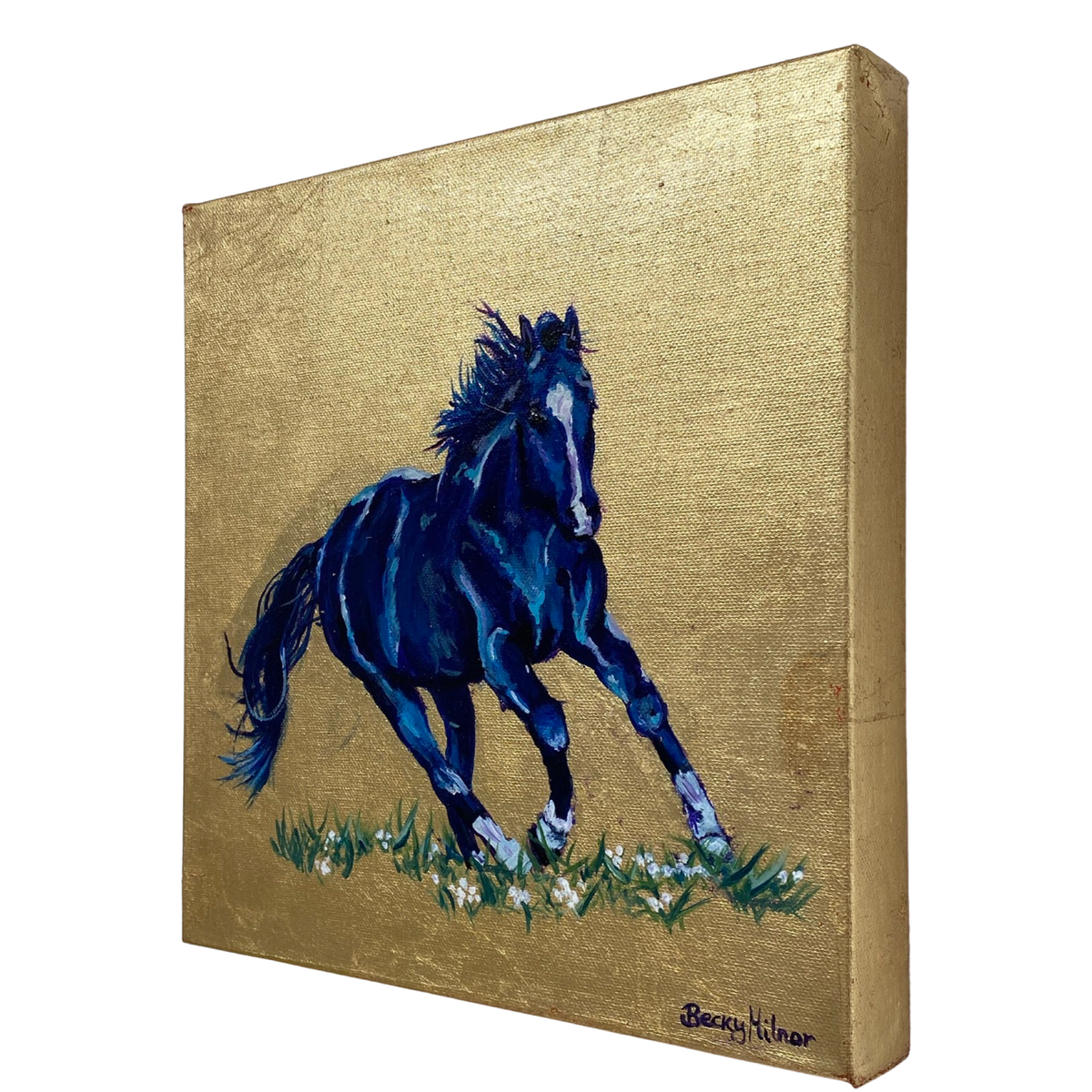 Print on Framed Canvas 
