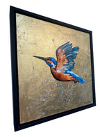 Kiki the Kingfisher