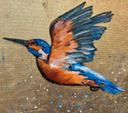 Kiki the Kingfisher