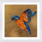 Kingsley the Kingfisher Framed & Mounted Print
