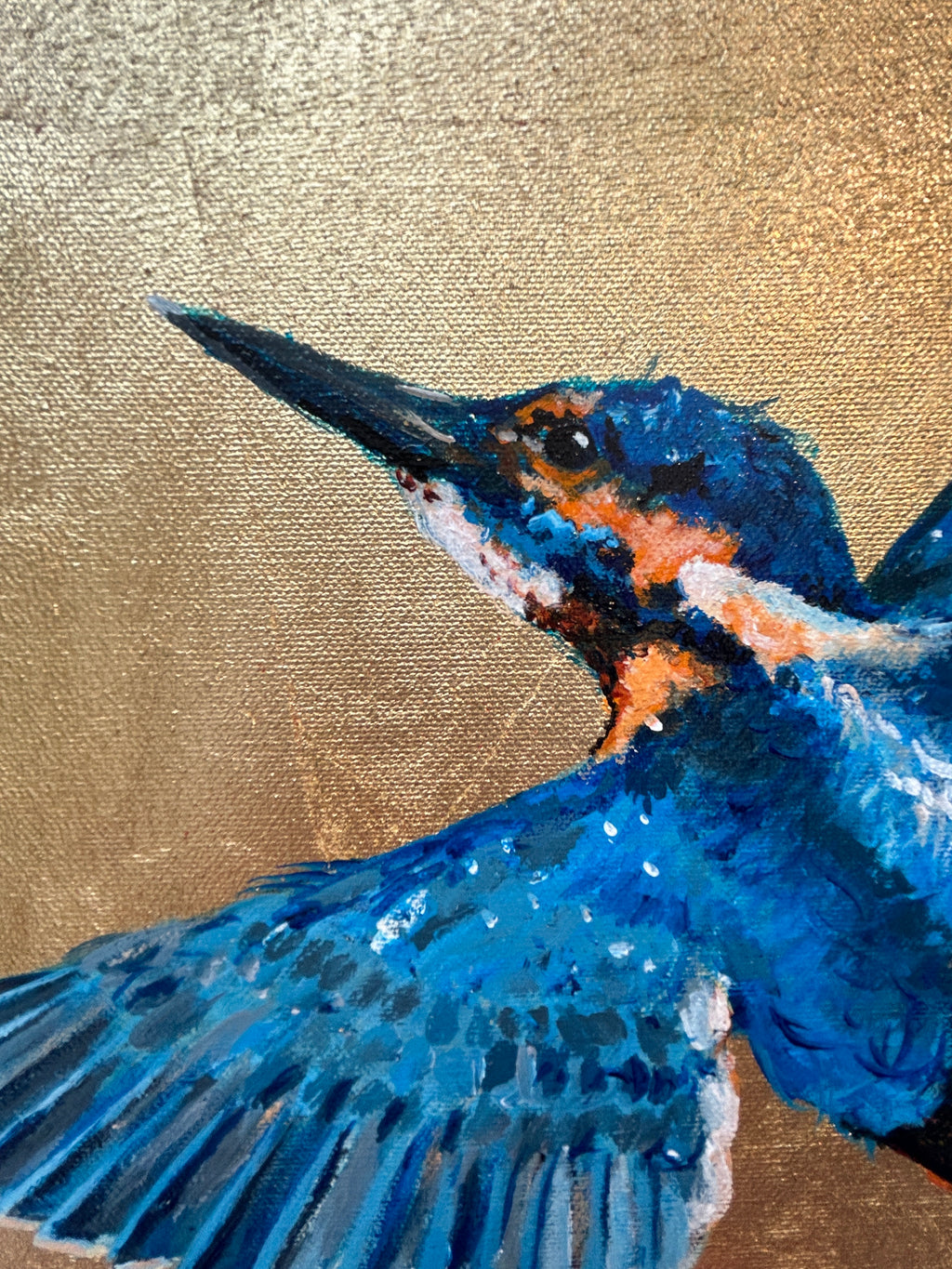Kyrie the Kingfisher