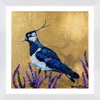 Laila the Lapwing Framed & Mounted Print