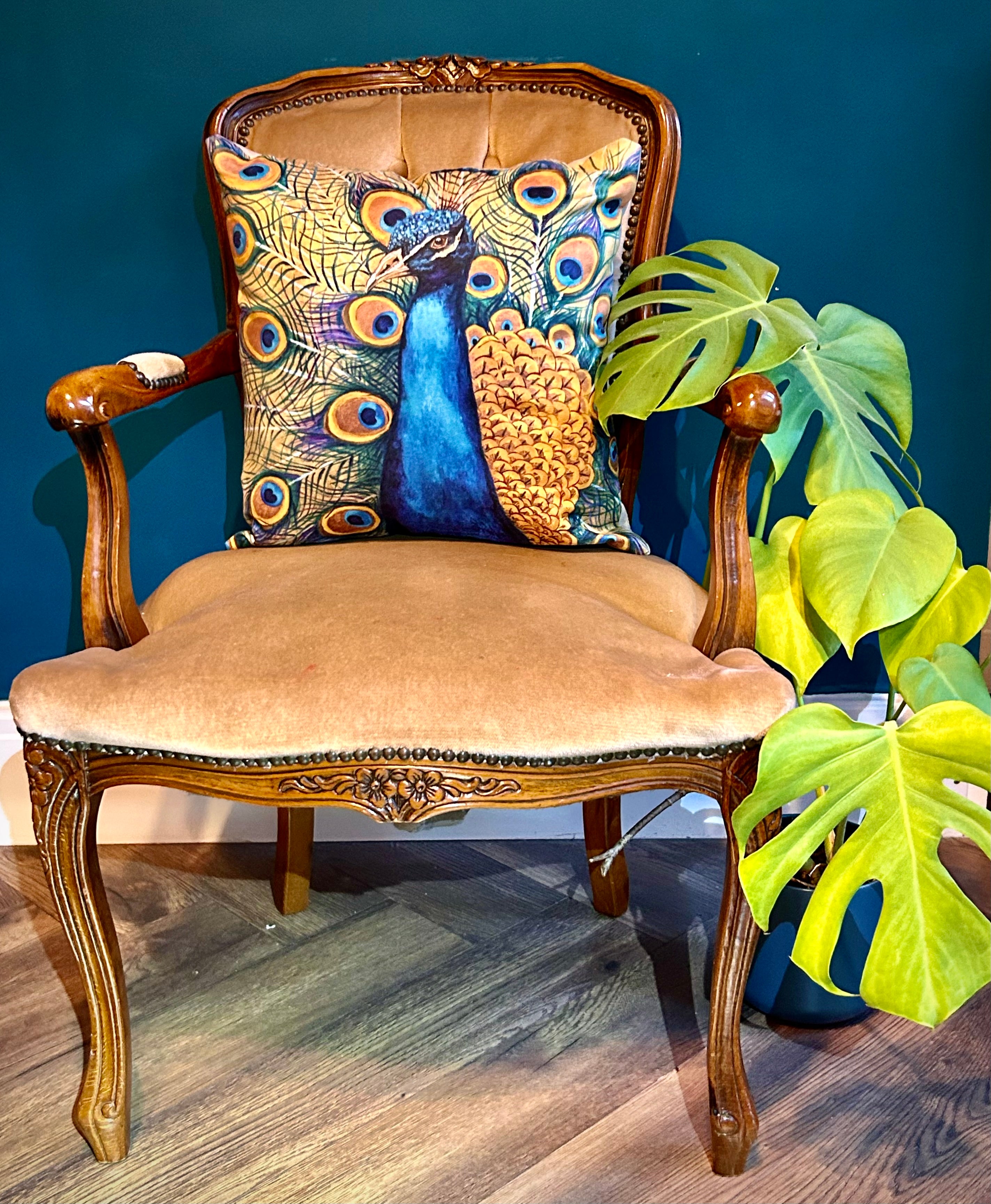 Pierre the Peacock Cushion