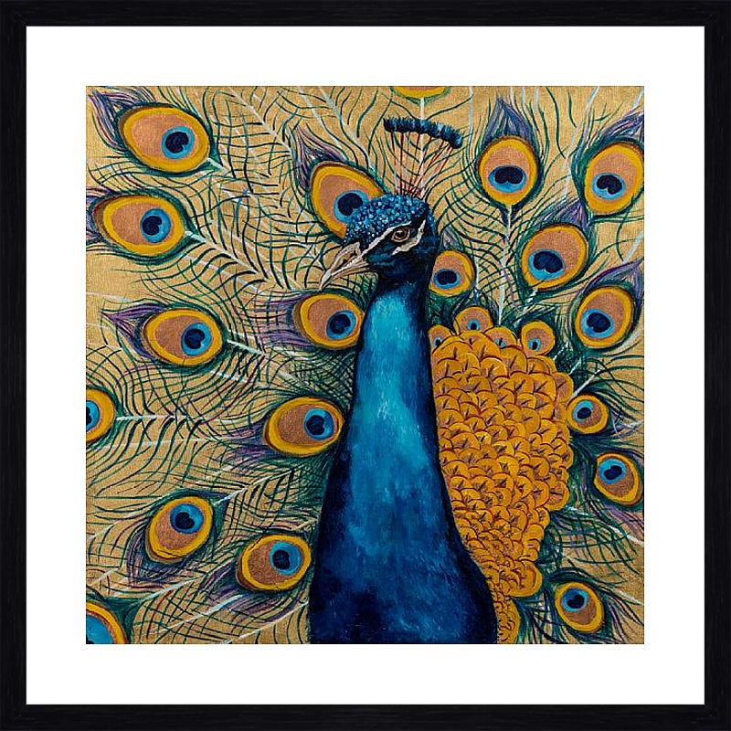 Pierre the Peacock Framed & Mounted Print