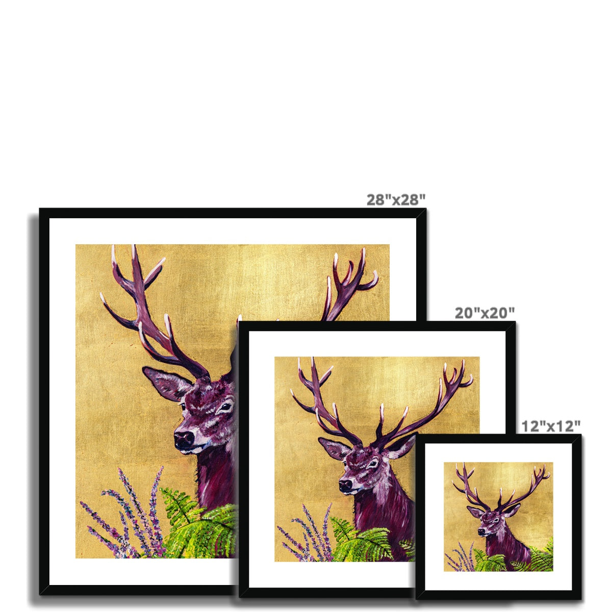 Animal Framed Prints 