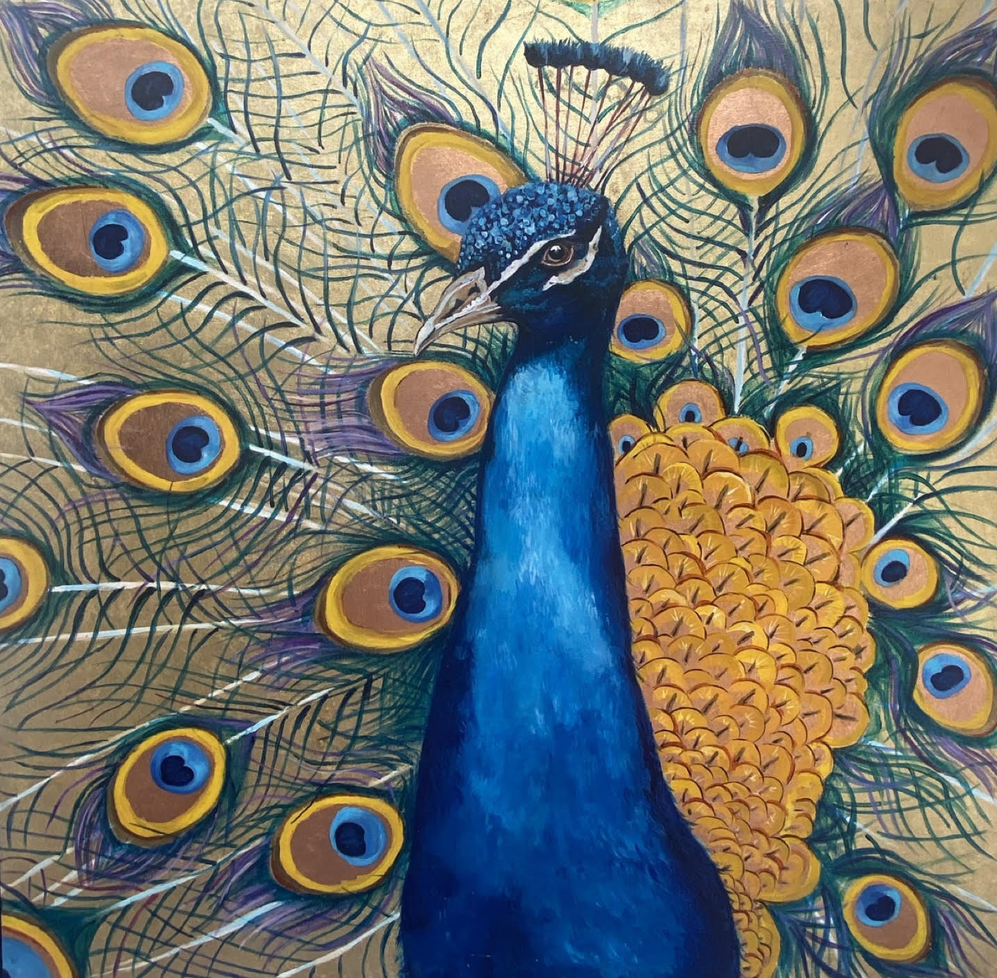 Peacock Art Print